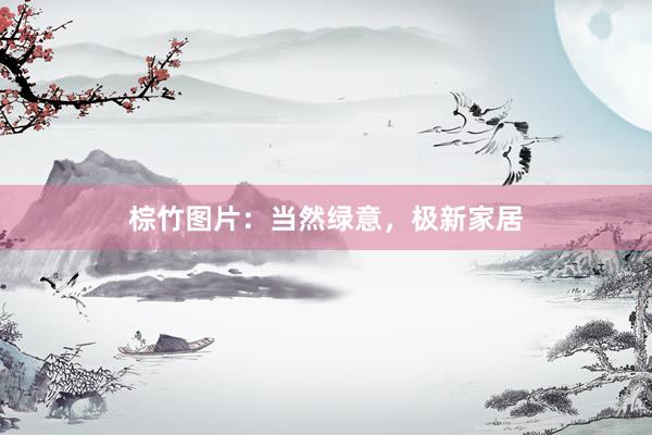 棕竹图片:当然绿意,极新家居